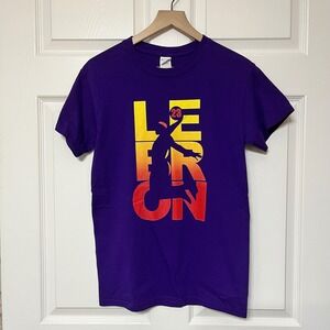 Lebron James Basketball Graphic T Shirt Mens Gildan Purple Small NBA